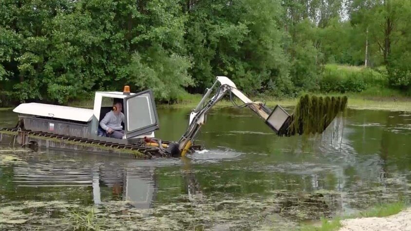    Фото: г.о. Чехов