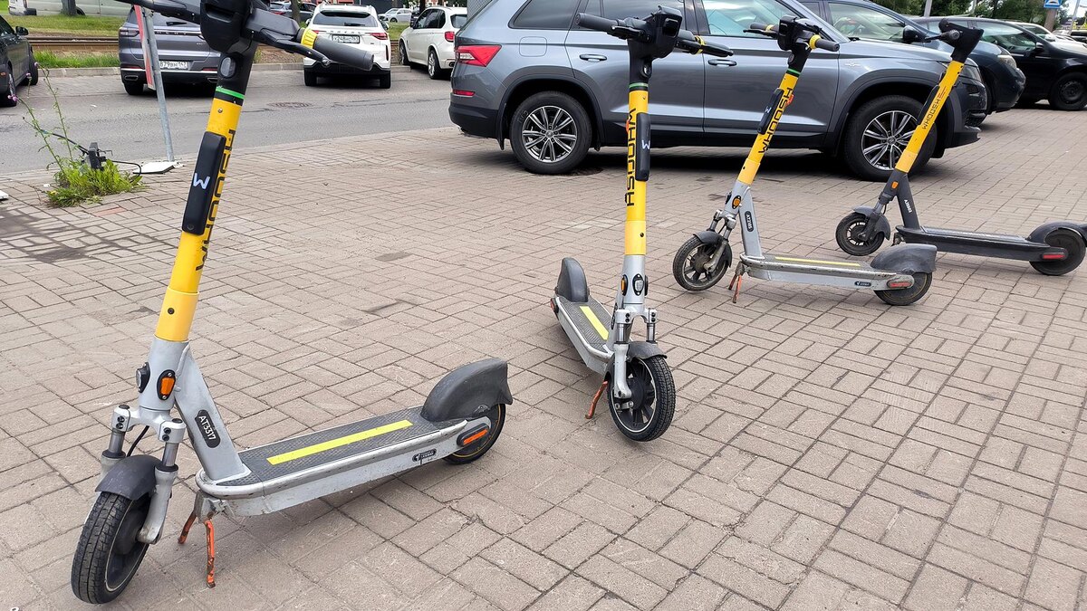    Фото: Maksim Konstantinov/globallookpress.com