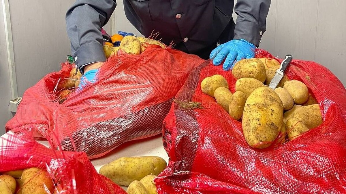    Фото: ЮМУ Россельхознадзора