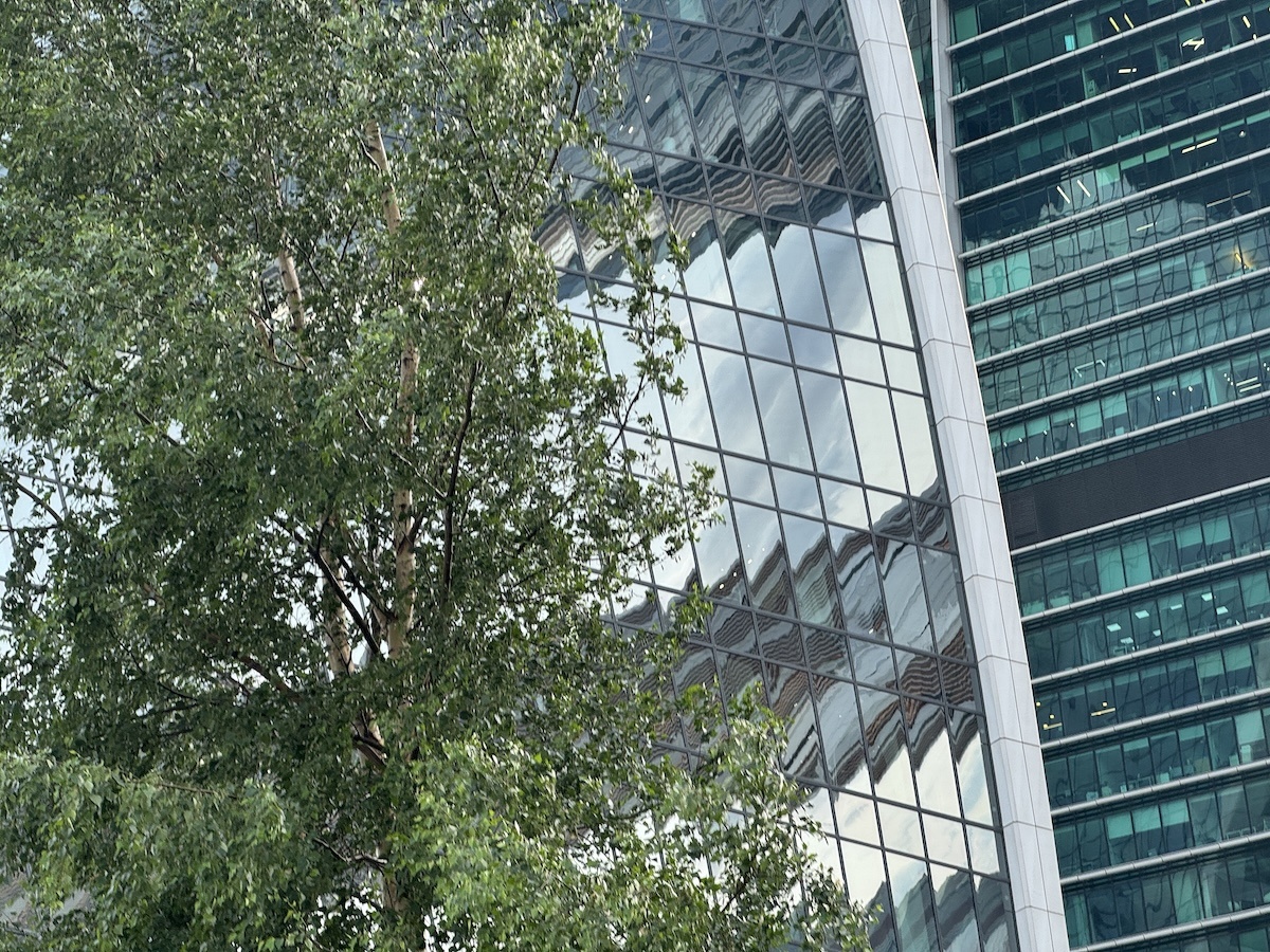 Фото © «Московская газета»