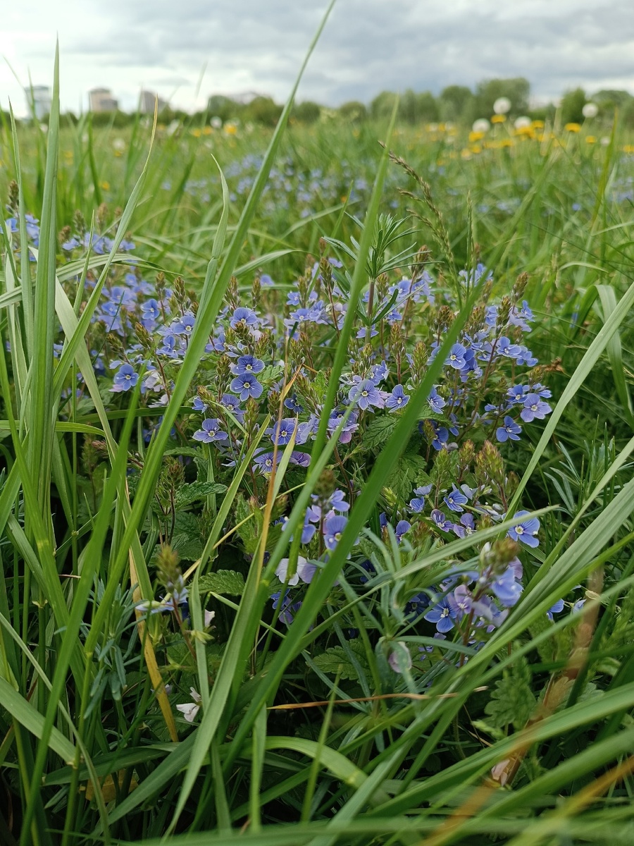 Именно из-за этой фотографии полицейские решили, что бывшая учительница делает закладки. Фото: Валентина Николаевна / ВКонтакте