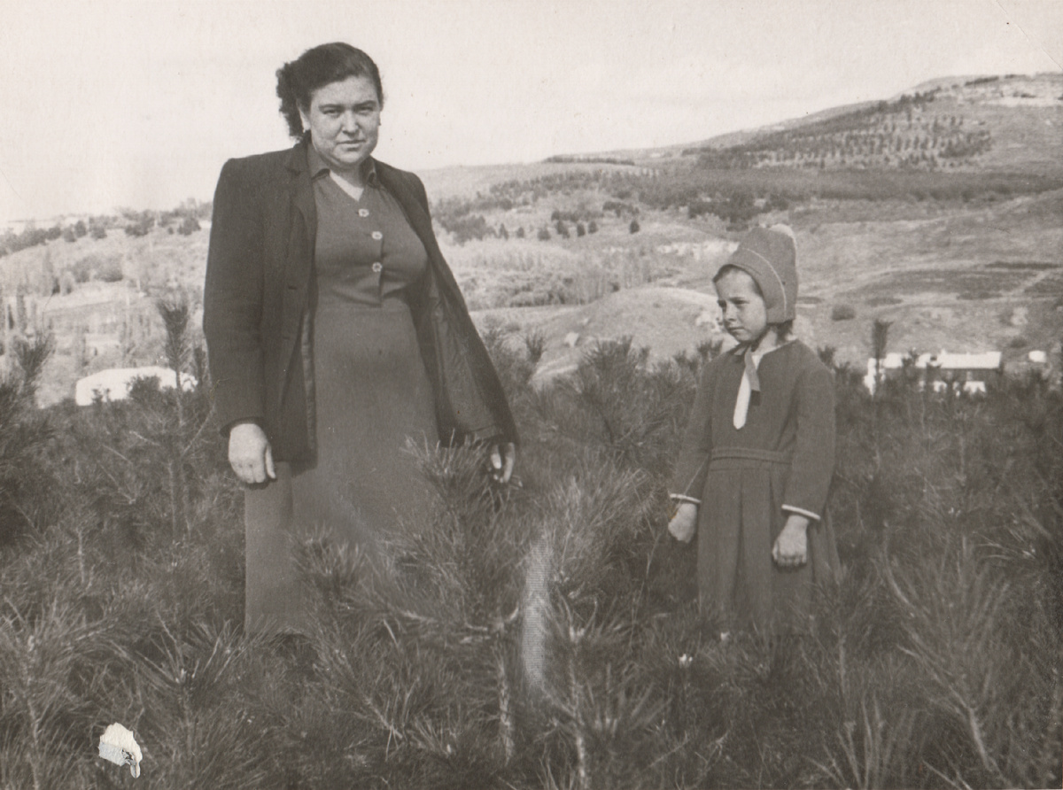 Молодые насаждения Горного парка.
Автор фото неизвестен. 1963 г.
Архив ФГБУ «Национальный парк «Кисловодский».
Фото из семейного архива Т.А. Кржевицкой
