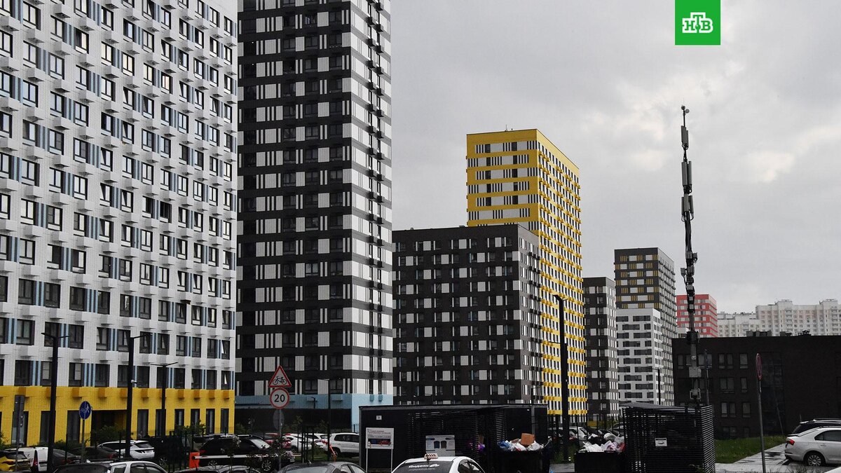    Фото: РИА Новости © 2025, Наталья Селиверстова