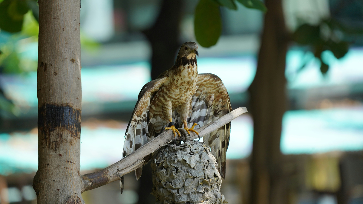 Картинка с бесплатного фотостока https://unsplash.com, автор Eka Kurniawan Muchiar