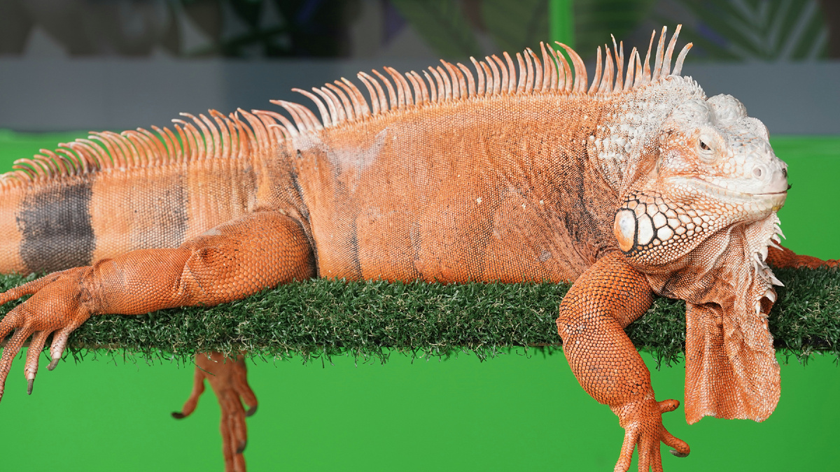 Картинка с бесплатного фотостока https://unsplash.com, автор Eka Kurniawan Muchiar