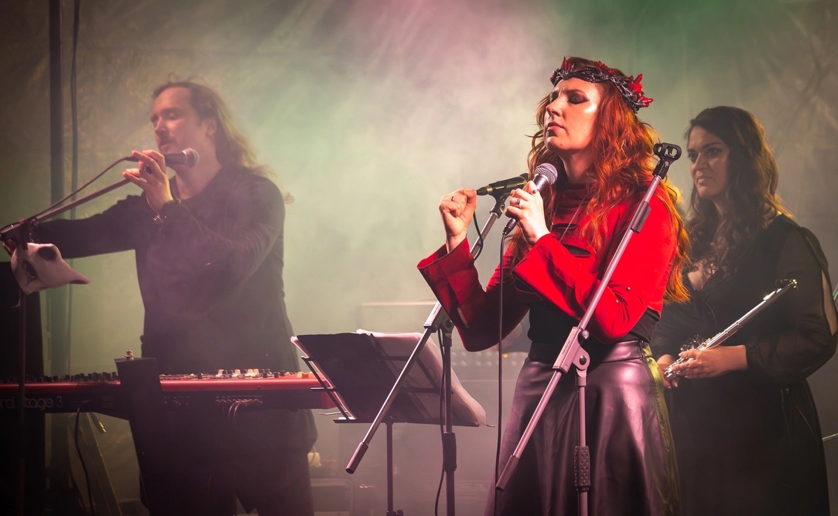 Концерт группы "Felidae"