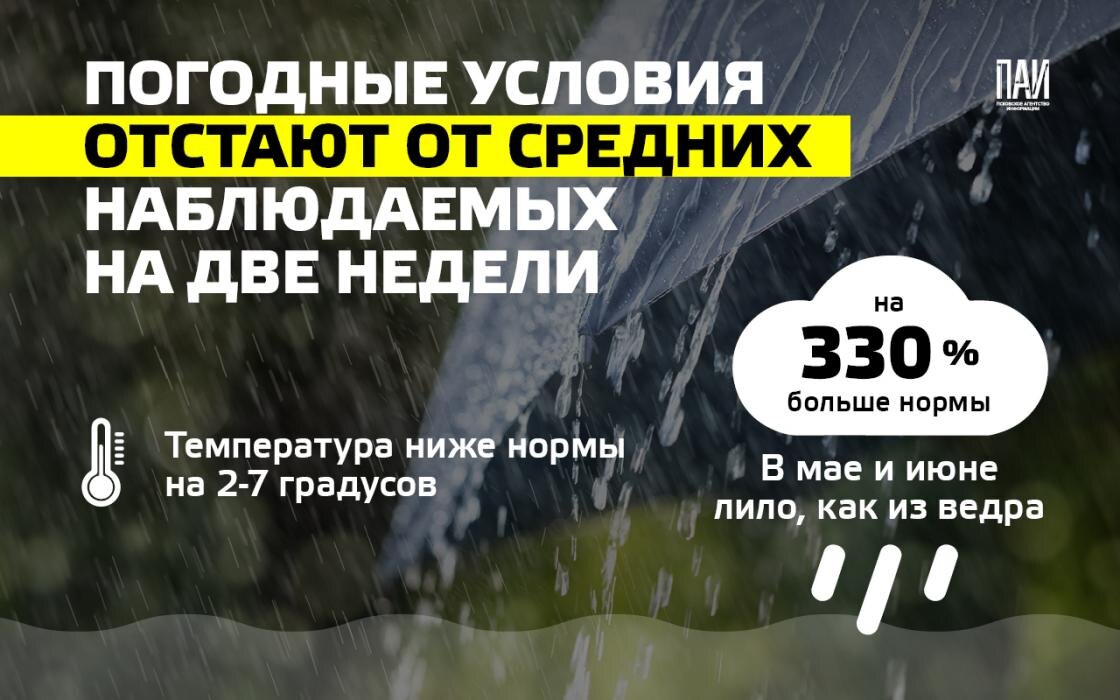 Чрезвычайно сыро!
Фото: Кирилл Гавриленко