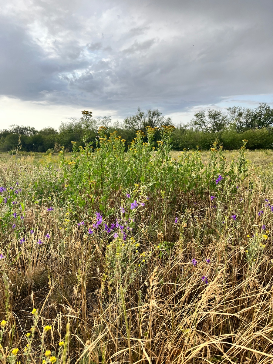 Красота☀️