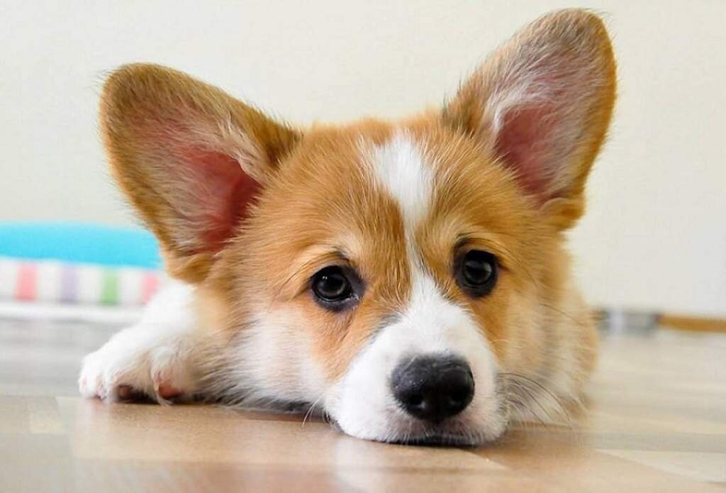 Этот парень как будто говорит: "Ну что, пошутим?"