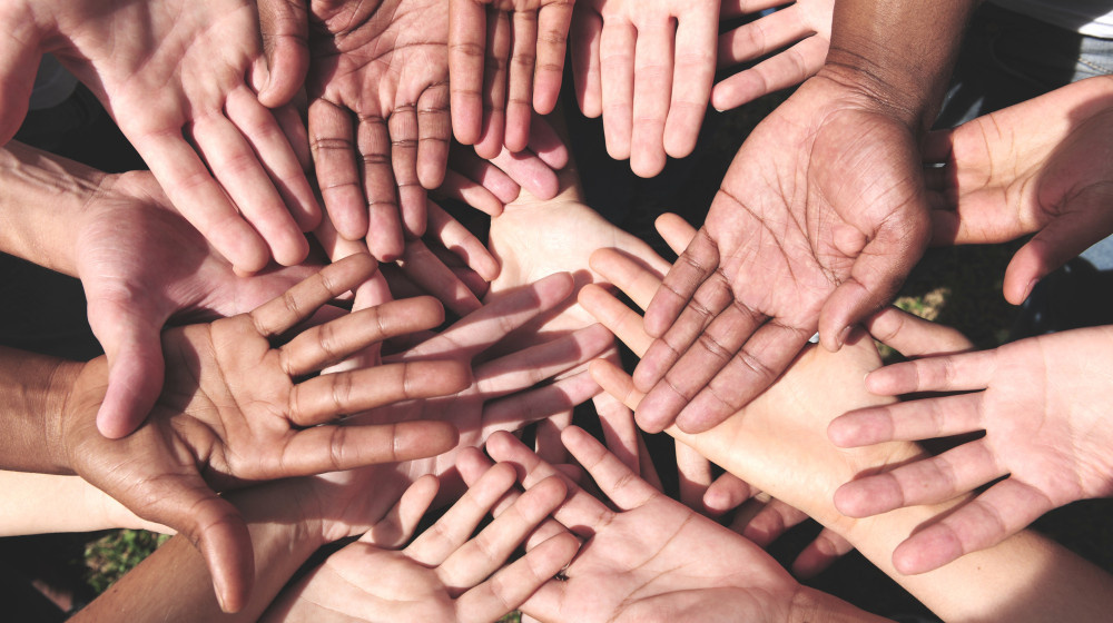    Фейковые фонды: как подрастающее поколение теряет деньги