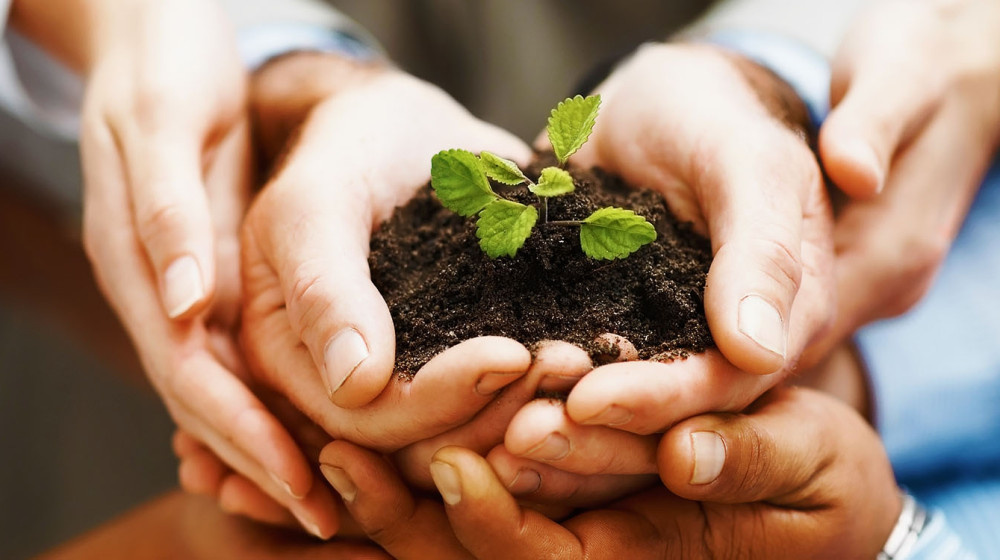    Фейковые фонды: как подрастающее поколение теряет деньги