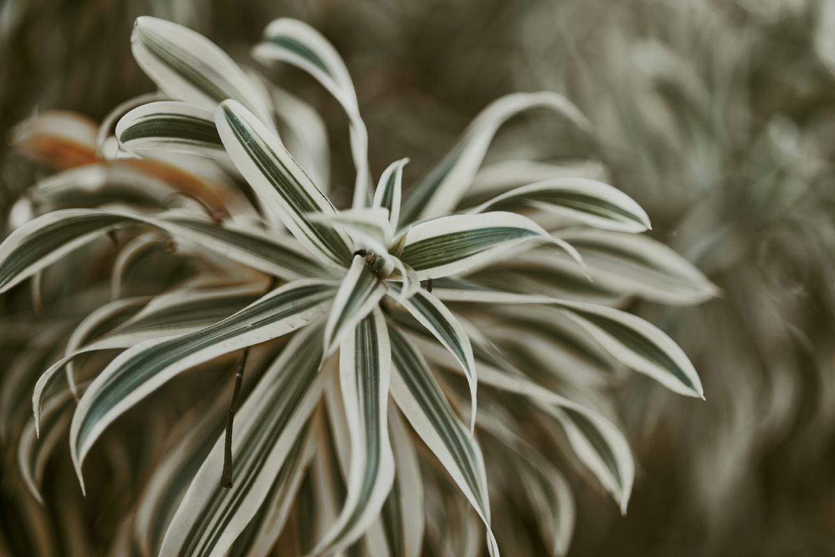 Картинка с бесплатного фотостока https://unsplash.com, автор Rafael Rodrigues