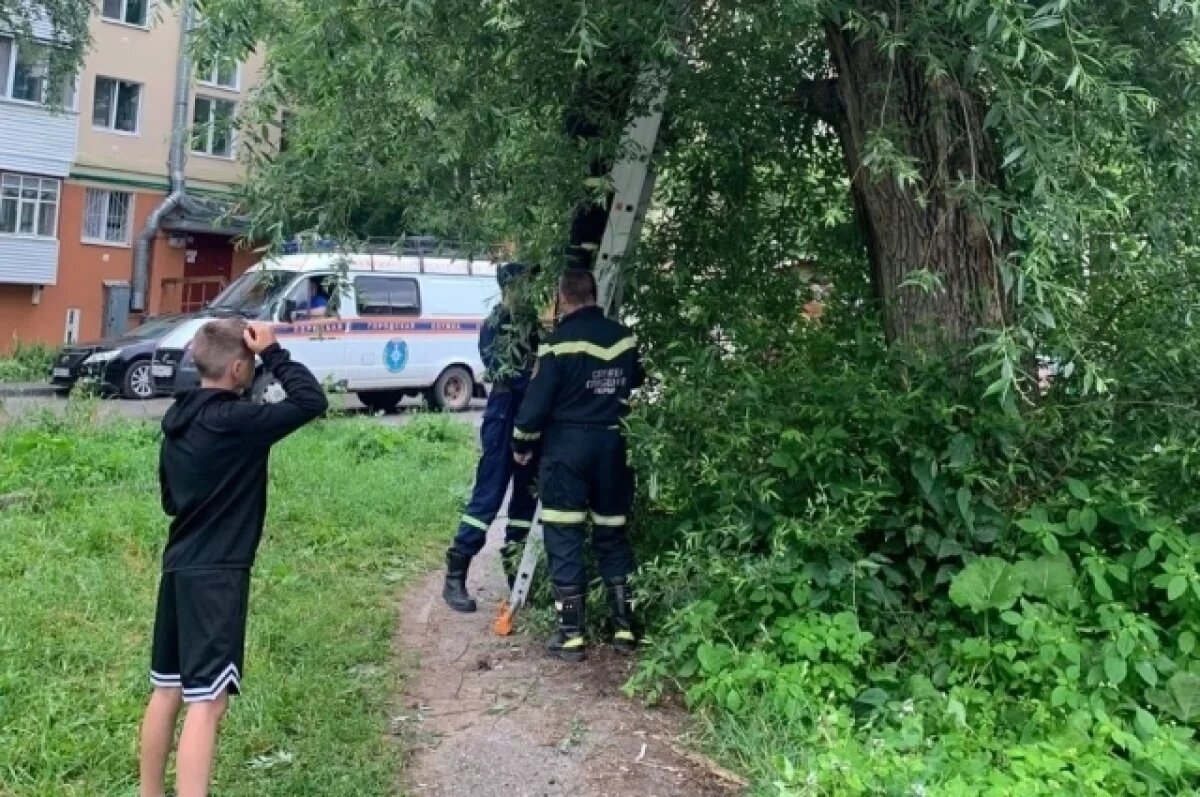    Спасатели в Перми помогли юным спортсменам по пути с выезда