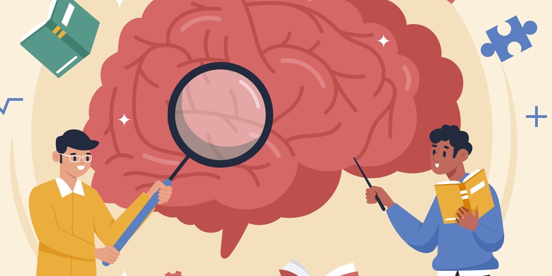 Что будет с мозгом, если получать Омега-3 каждый день?