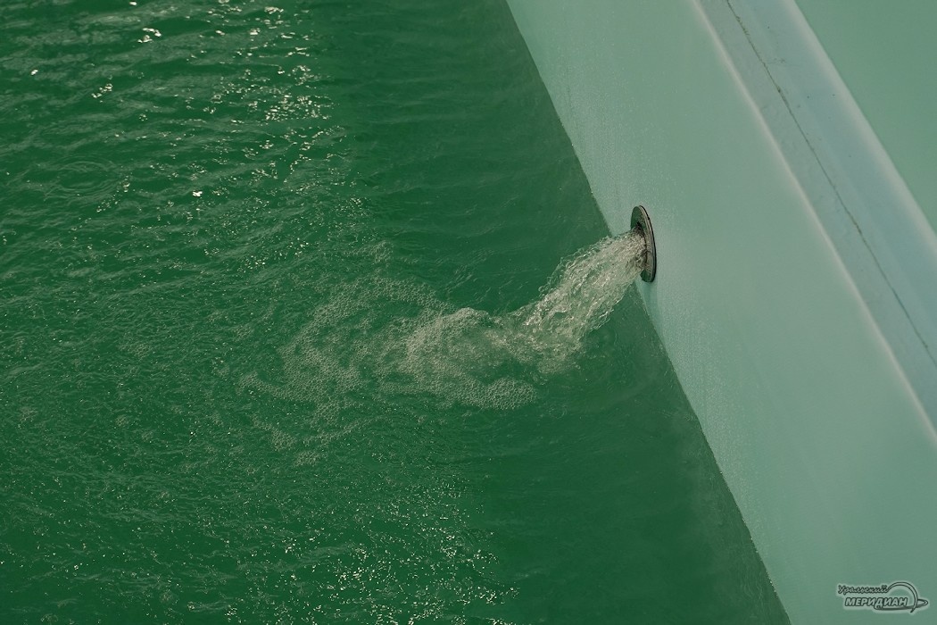    Фото: Лидия Аникина © ИА «Уральский меридиан»