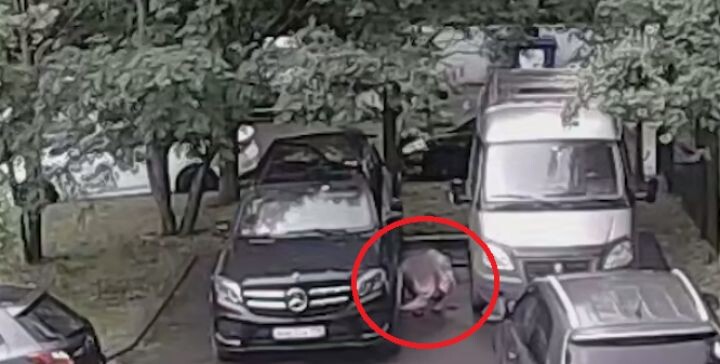    Фото: скриншот из видео