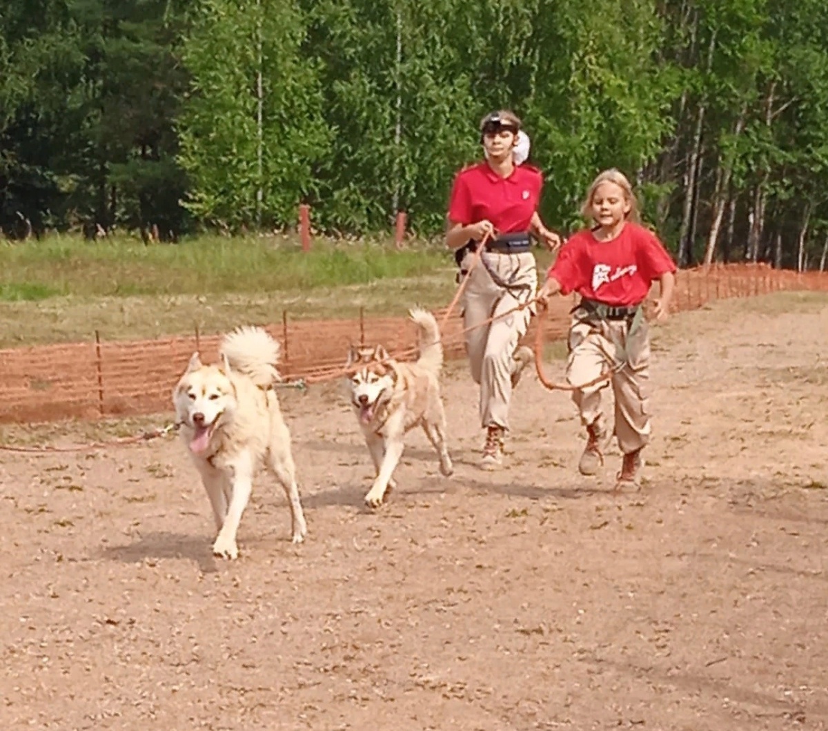 470 МКЦ Красная звезда "Технодогбиатлон" ВСПК ЦКСС ДОСААФ России / ЦК АВПК ДОСААФ России