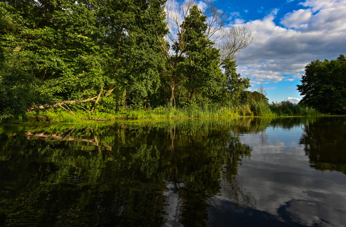 фото: Patrick Pleul/ZB/Global Look Press