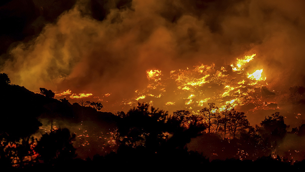     Фото: STR/Associated Press/East News