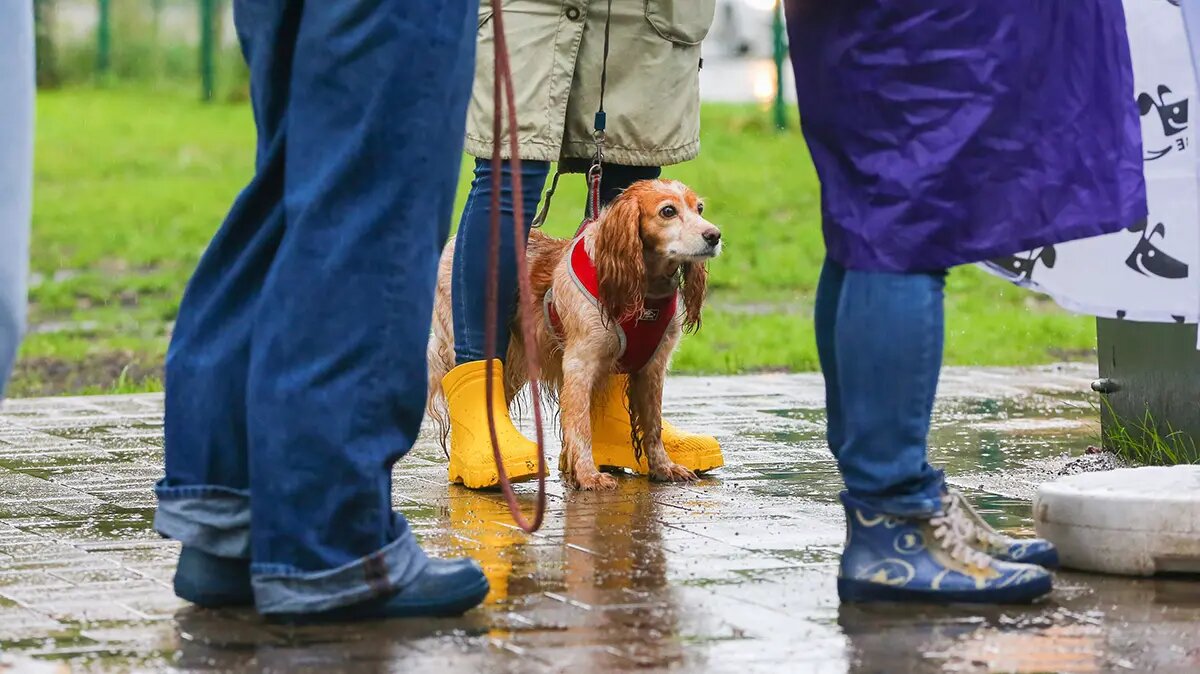    Фото: vm.ru Евгений Иванов
