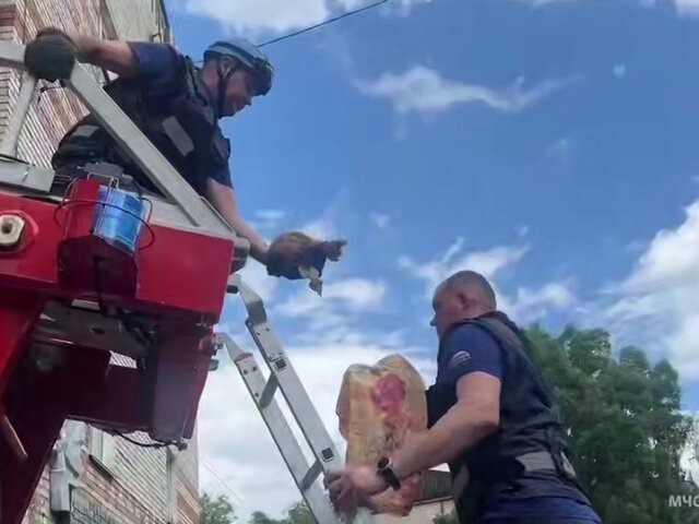    Фото: телеграм-канал "МЧСЕАО"