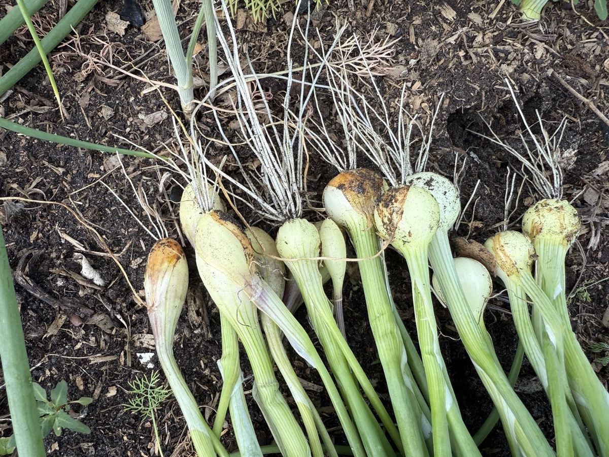 Фото автора канала Дом с кипарисами