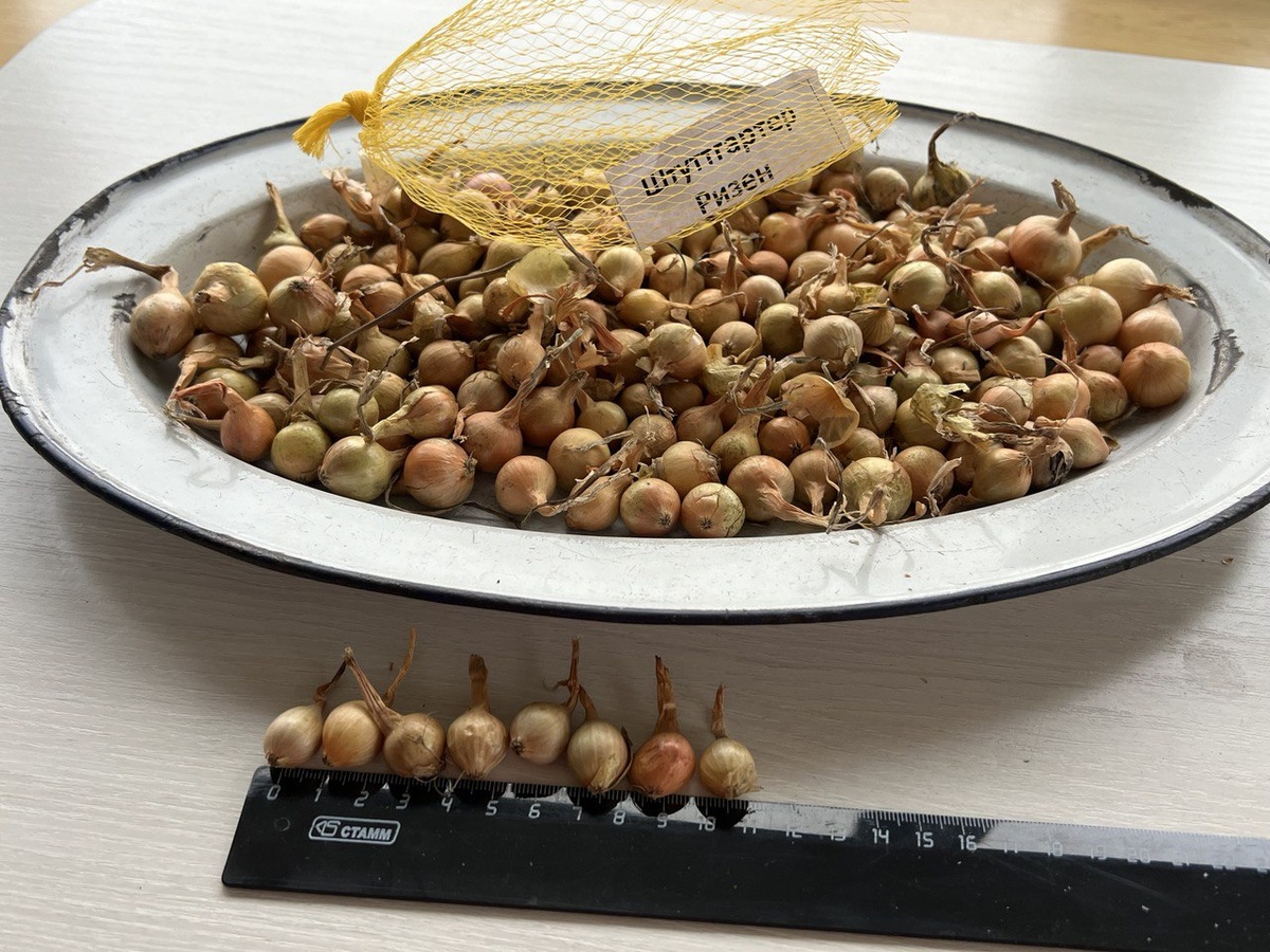 Фото автора канала Дом с кипарисами