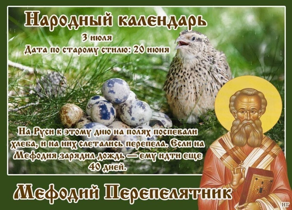 Мефодий Перепелятник