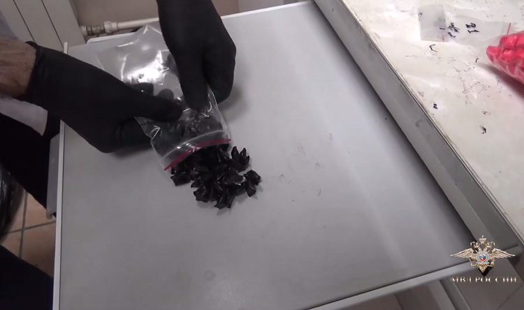    На фото стоп-кадр ТГ-канала Ирины Волк Редактор