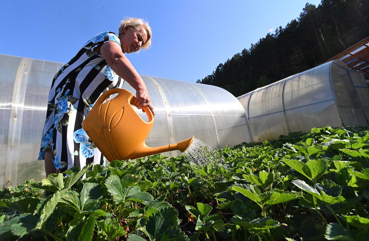 Фото: Илья Наймушин/РИА Новости