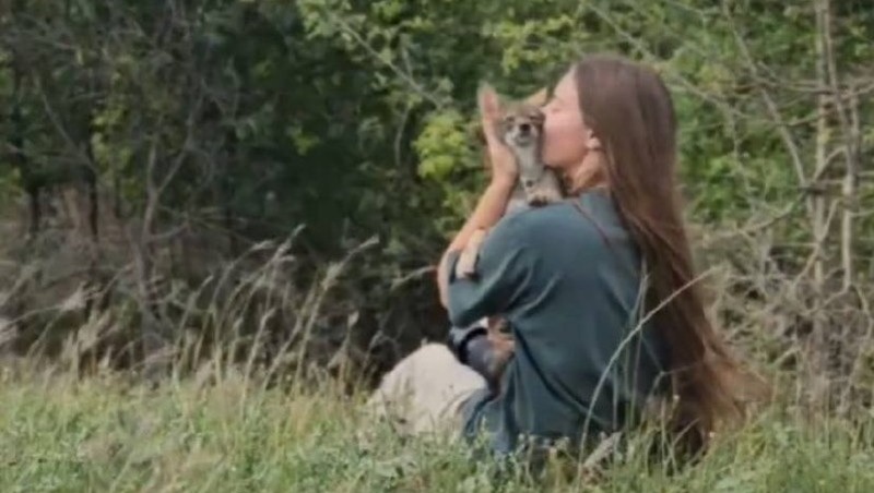      Фото: Телеграм-канал «Пеликан»