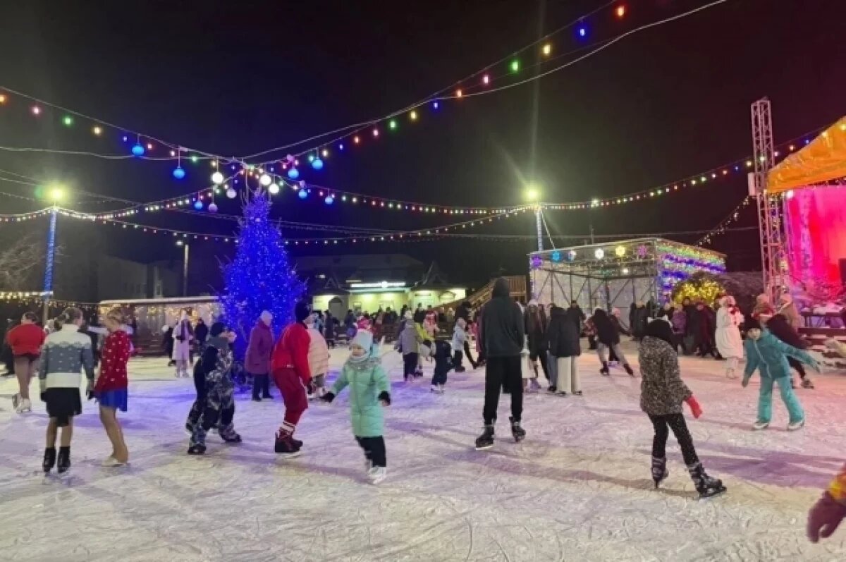    В Ярославской области выделят 230 млн рублей на катки