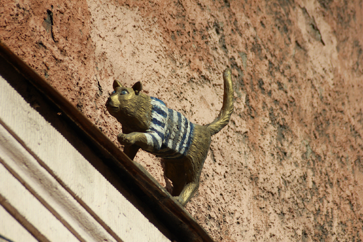 Кошка Тишка