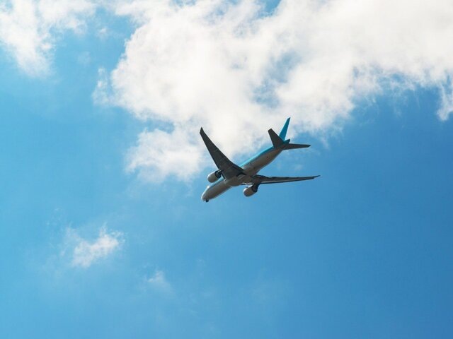    Фото: 123RF/olgavolodina