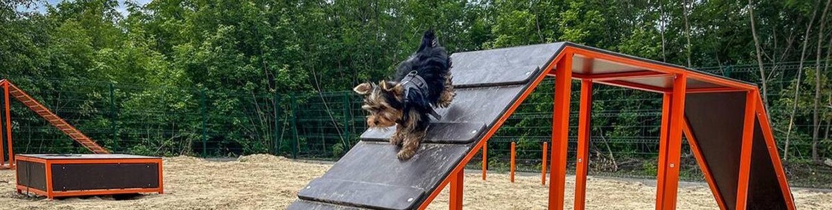    Фото: телеграм-канал Валентина Демидова