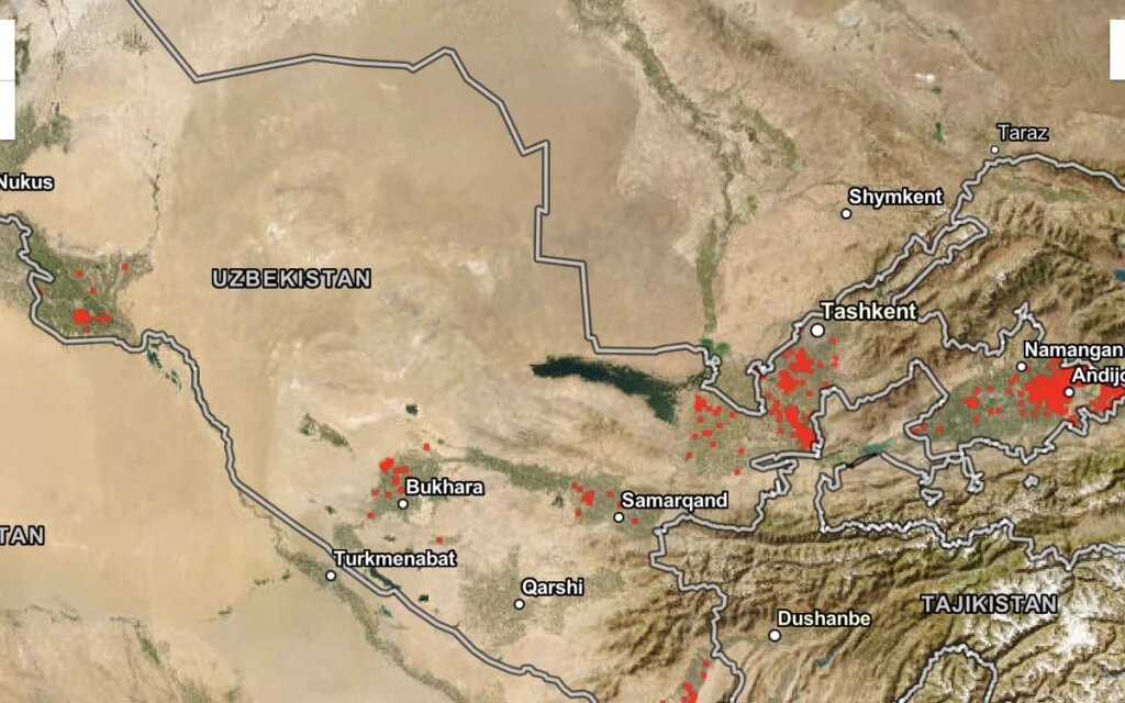    Фото: «Узбеккосмос»