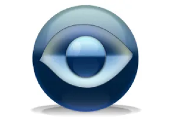 Так выглядела иконка WebCam Looker