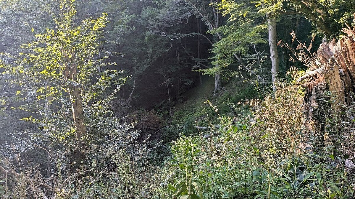    Фото: телеканал «Краснодар»