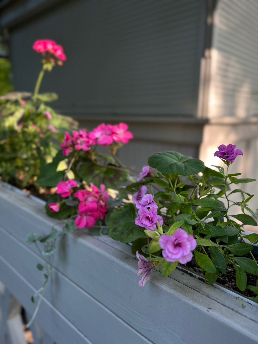 Фото из поездки в Гатчину