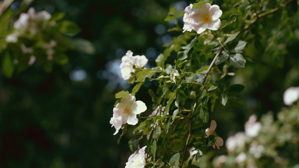 Светлана Мулыкина📷
