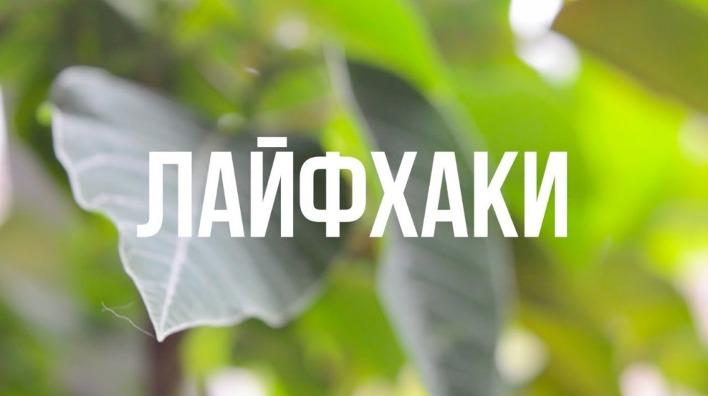    Лайфхаки, которые не работают