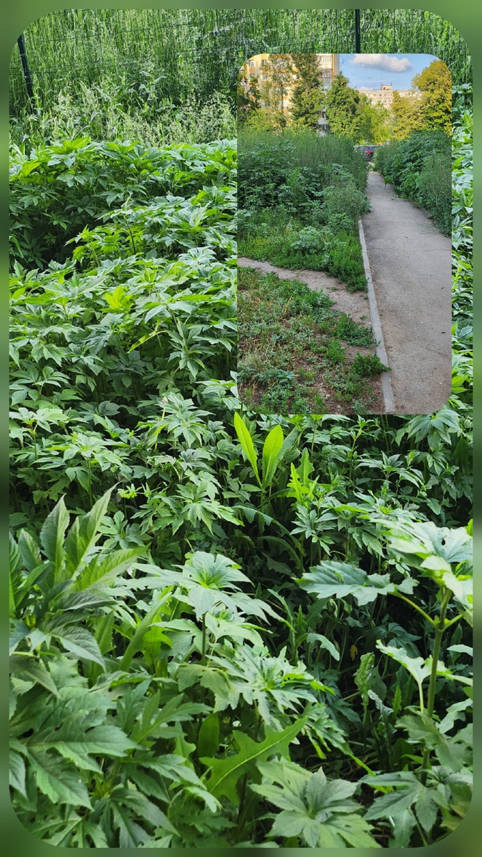 Фото автора.