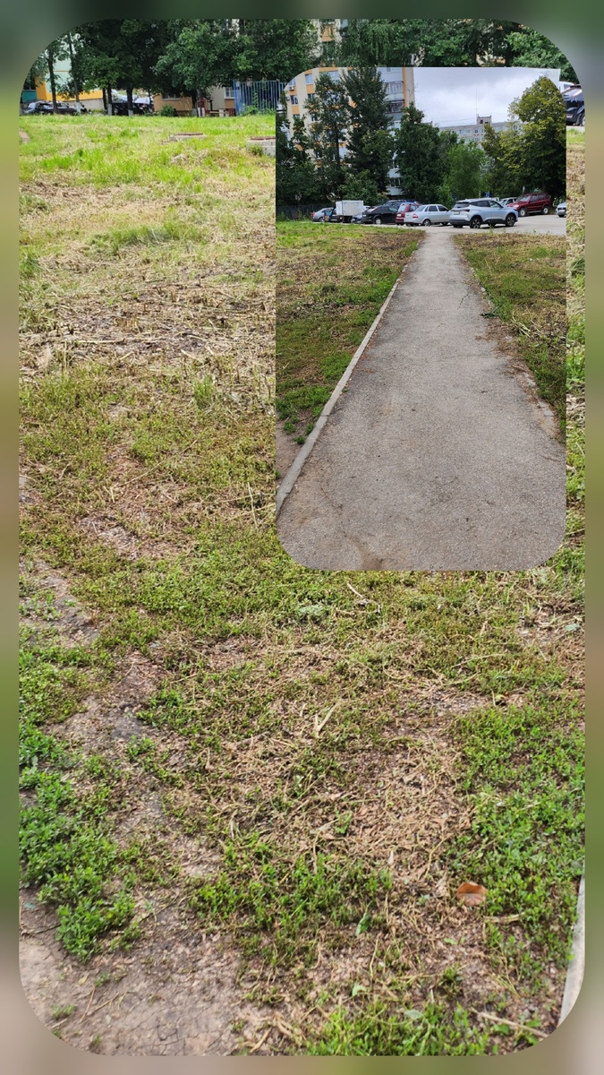 Фото автора.