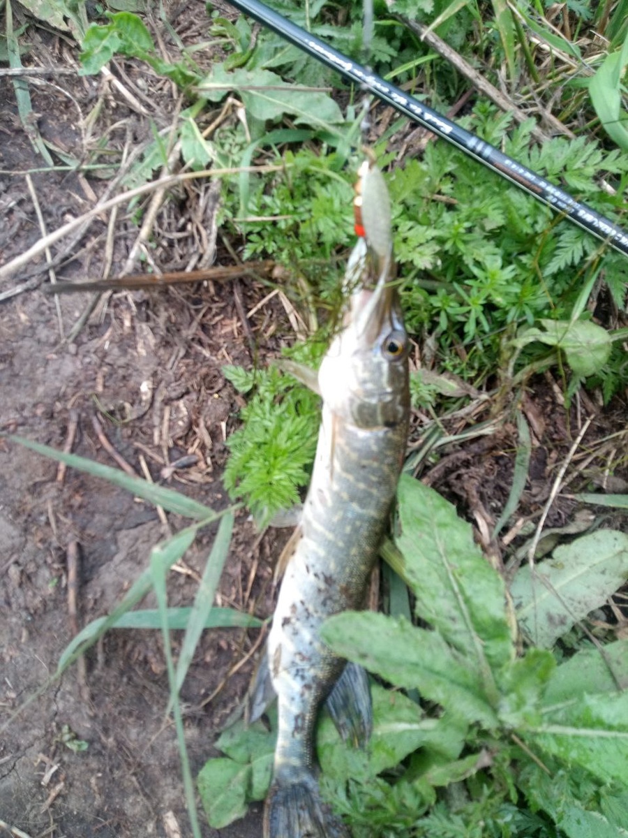 Короткая фотосессия и обратно в воду.