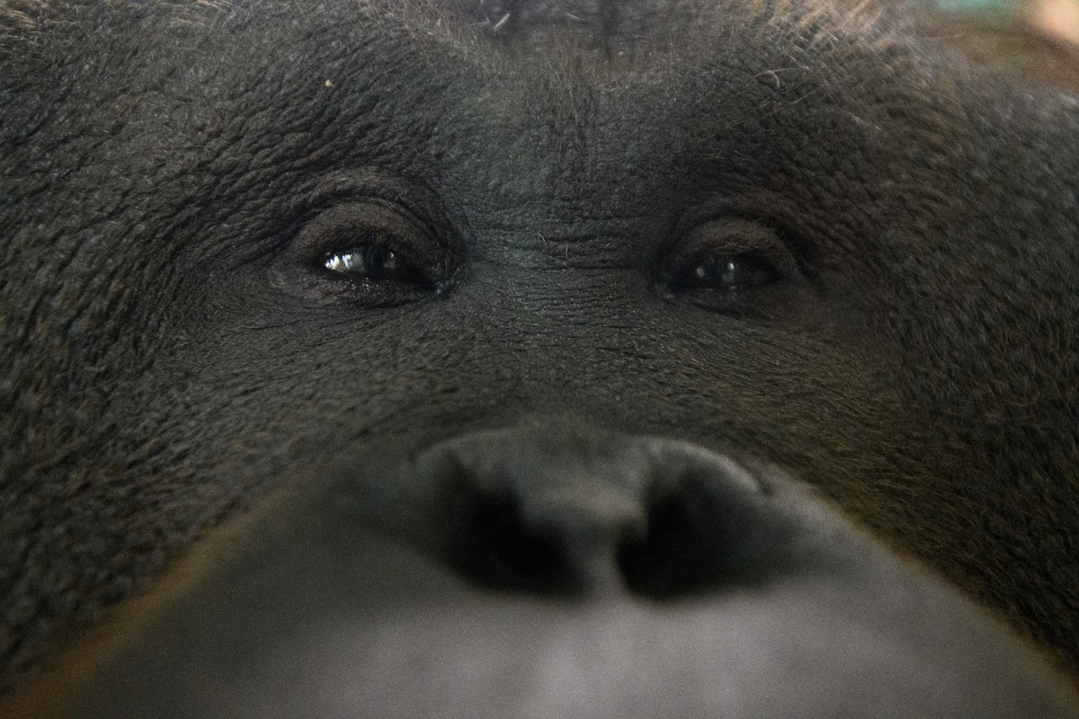 Фото: Алексей Булатов