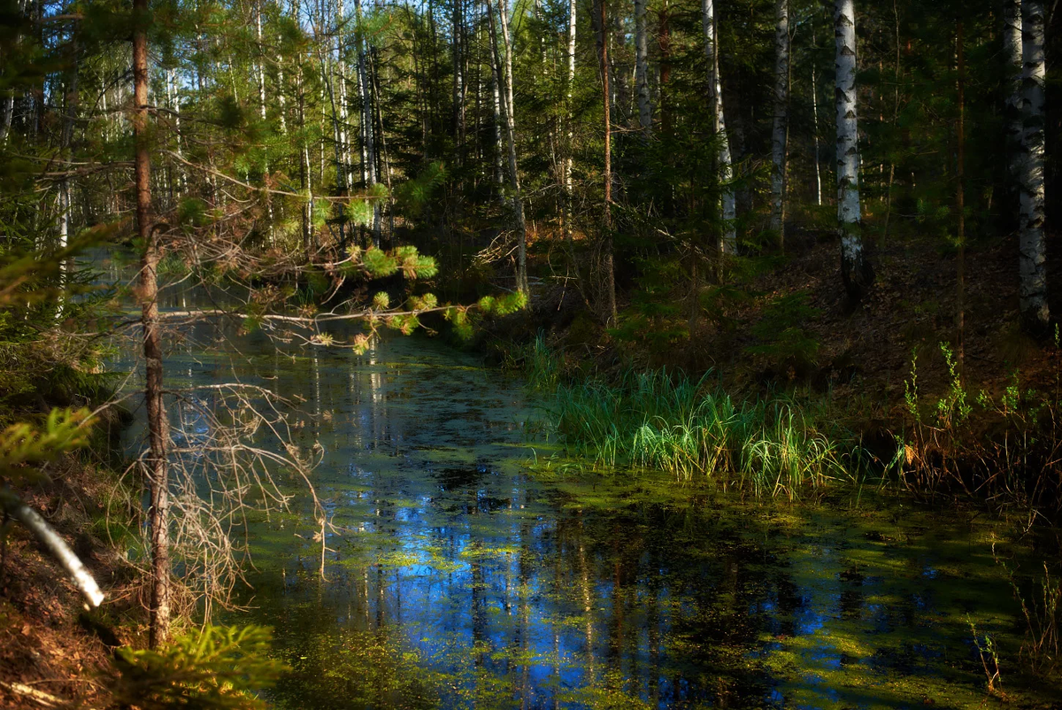 Фото из интернета. Естественно, никаких изображений места, где расположен город в Средние века нет, примерно так, думается, выглядело