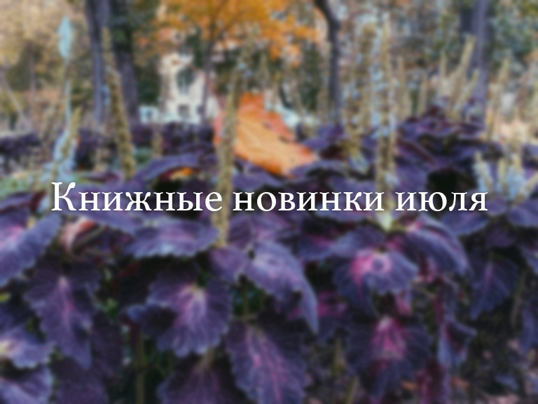 Фото Анны Карповой/Книжная лавка: жизнь любителя почитать