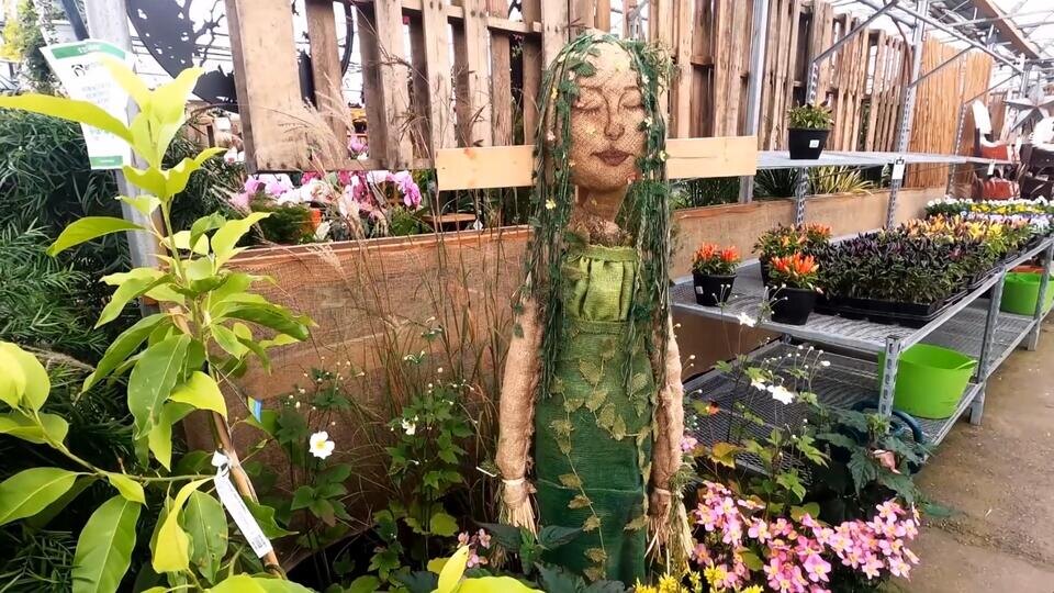 Фото: © Кадр из программы "Невероятно интересные истории", РЕН Т