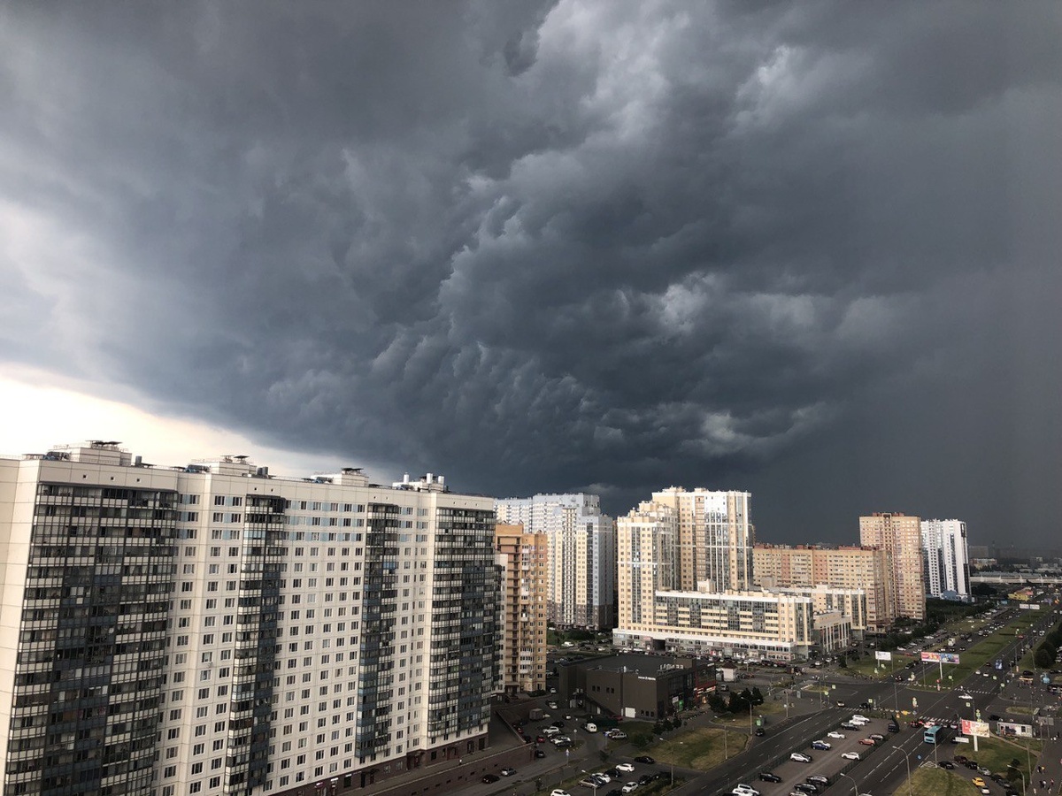    Фото: Мойка78 / Вероника Смирнова