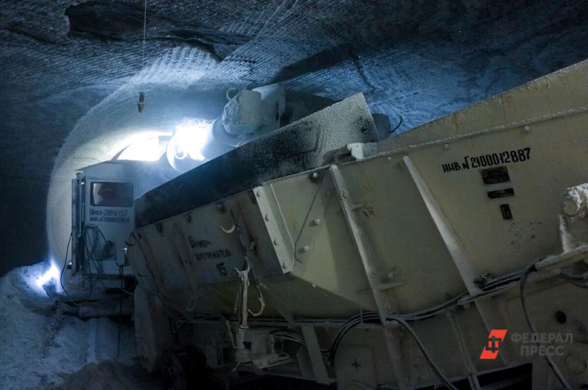 Контроль над месторождением лития усиливает стратегические позиции России.  Фото: Фото: ФедералПресс / Виталий Кокшаров